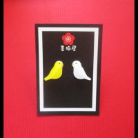 セキセイインコピアス１ルチノー×アルビノ【SALE770円→550円】