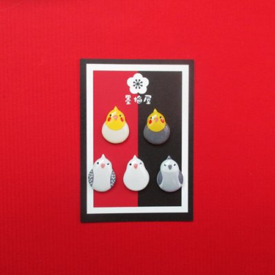 画像1: オカメインコピアス5個セット