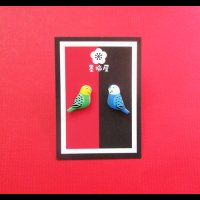 セキセイインコピアス１A×D【SALE770円→550円】