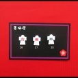 画像5: 【選べるピアス】神社Ｂ【片耳1個売り】