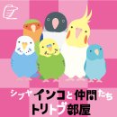 画像: 東急ハンズ渋谷店「シブヤ インコと仲間たち トリトブ部屋」出展いたします。