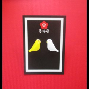 画像: セキセイインコピアス１ルチノー×アルビノ【SALE770円→550円】